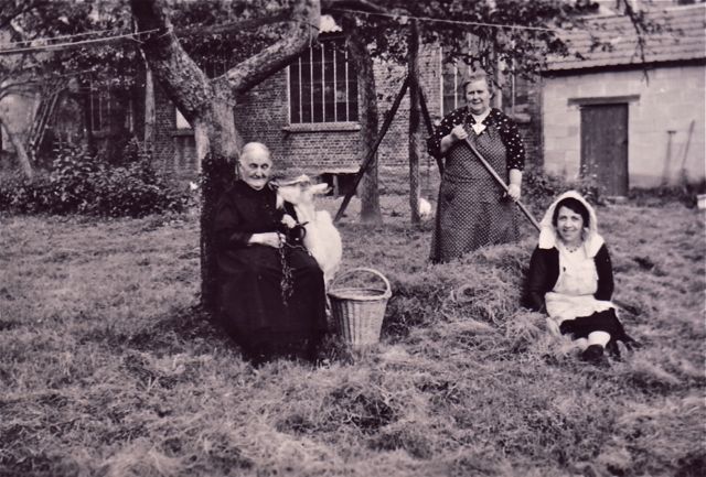 Grootmoeder had zich een geit aangeschaft als huisdier. Dat stonk wel, maar we aten toch meestal buiten.